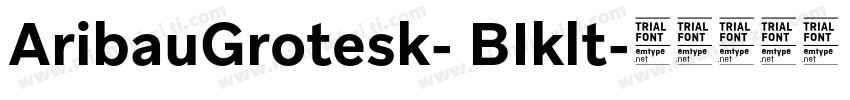 AribauGrotesk- BIklt字体转换